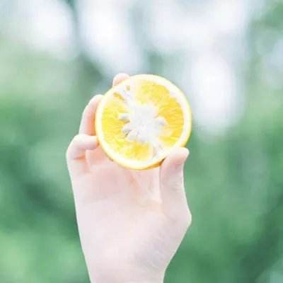 国际观察丨特朗普政府加剧美国矛盾和分裂